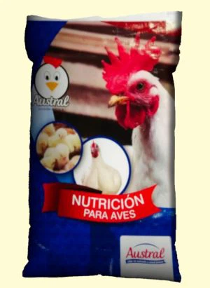 60lbs hírcsatorna-Bag exportálni, Dominikai Köztársaság